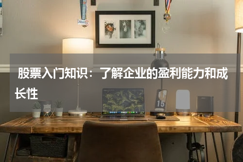  股票入门知识：了解企业的盈利能力和成长性