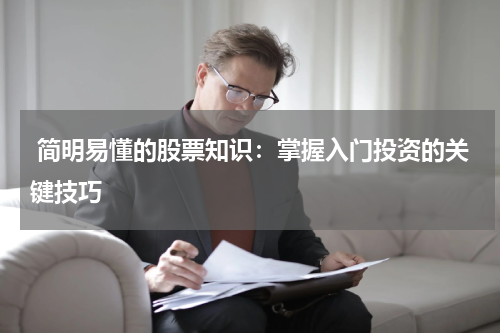  简明易懂的股票知识：掌握入门投资的关键技巧