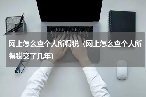 网上怎么查个人所得税（网上怎么查个人所得税交了几年）
