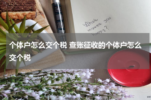 个体户怎么交个税 查账征收的个体户怎么交个税