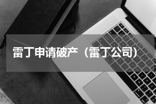 雷丁申请破产（雷丁公司）