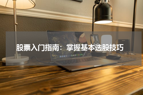  股票入门指南：掌握基本选股技巧