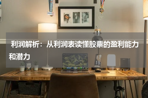  利润解析：从利润表读懂股票的盈利能力和潜力