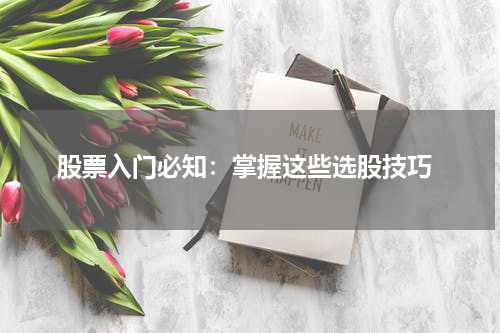  股票入门必知：掌握这些选股技巧