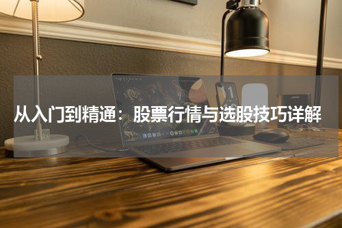  从入门到精通：股票行情与选股技巧详解
