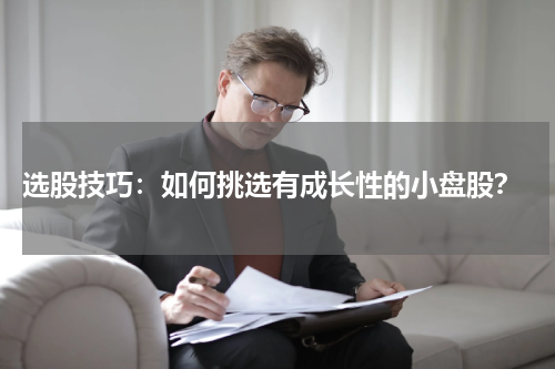  选股技巧：如何挑选有成长性的小盘股？