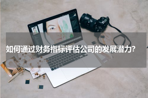  如何通过财务指标评估公司的发展潜力？