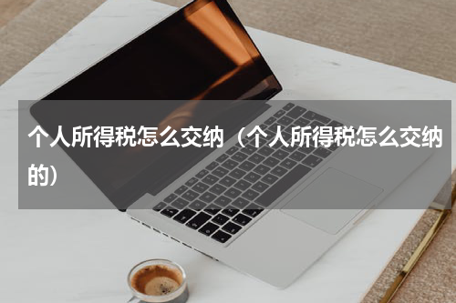 个人所得税怎么交纳（个人所得税怎么交纳的）