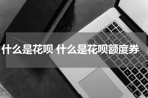 什么是花呗 什么是花呗额度券