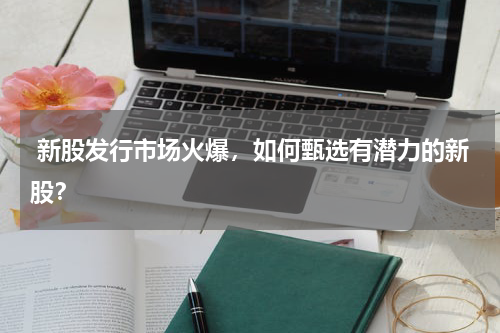  新股发行市场火爆，如何甄选有潜力的新股？