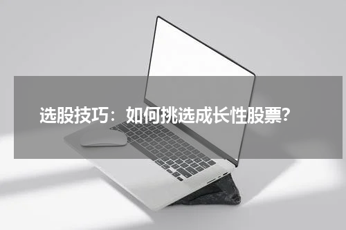  选股技巧：如何挑选成长性股票？