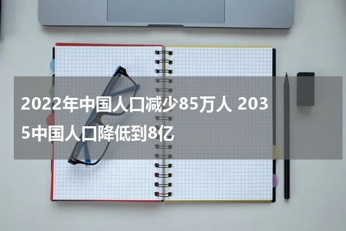 2022年中国人口减少85万人 2035中国人口降低到8亿