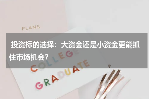  投资标的选择：大资金还是小资金更能抓住市场机会？