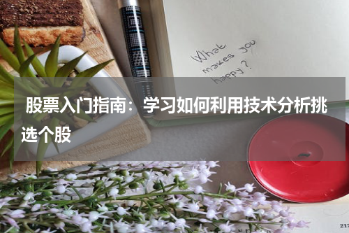  股票入门指南：学习如何利用技术分析挑选个股