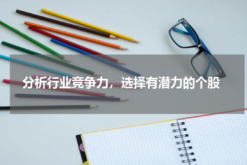  分析行业竞争力，选择有潜力的个股