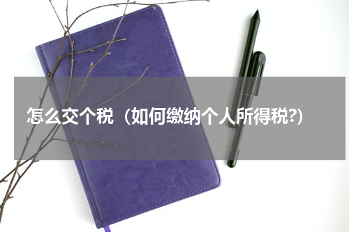 怎么交个税（如何缴纳个人所得税?）