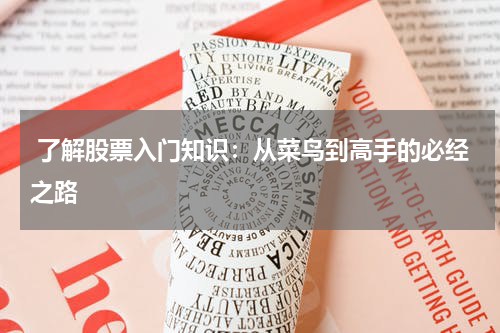  了解股票入门知识：从菜鸟到高手的必经之路