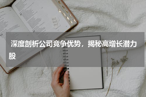  深度剖析公司竞争优势，揭秘高增长潜力股