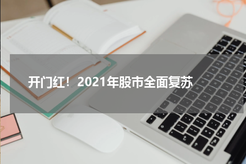  开门红！2021年股市全面复苏