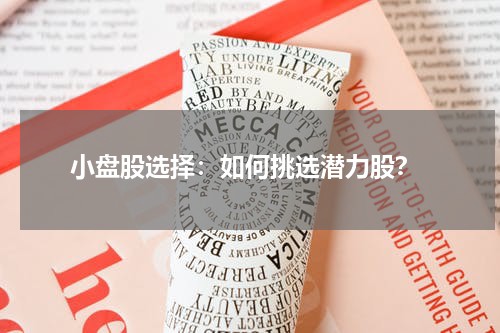  小盘股选择：如何挑选潜力股？