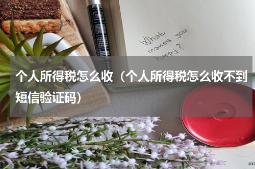个人所得税怎么收（个人所得税怎么收不到短信验证码）