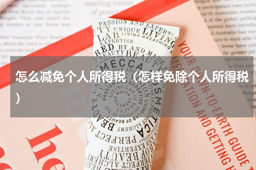 怎么减免个人所得税（怎样免除个人所得税）