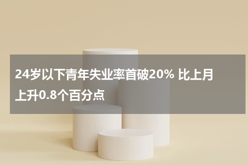 24岁以下青年失业率首破20% 比上月上升0.8个百分点