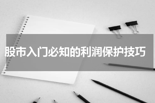  股市入门必知的利润保护技巧