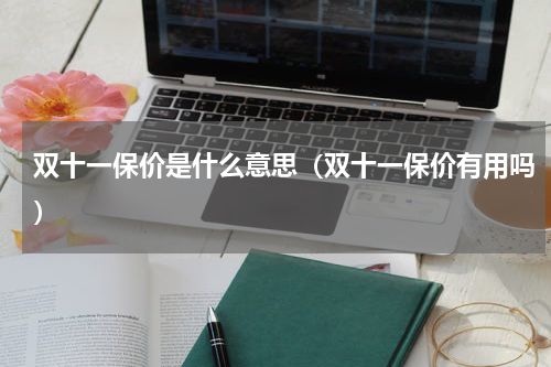 双十一保价是什么意思（双十一保价有用吗）