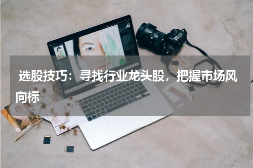 选股技巧：寻找行业龙头股，把握市场风向标