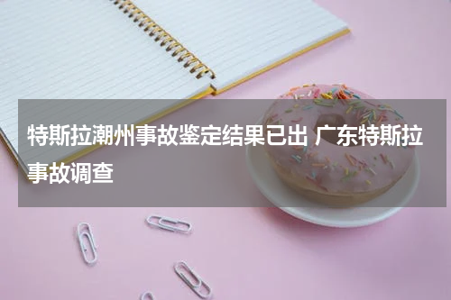 特斯拉潮州事故鉴定结果已出 广东特斯拉事故调查