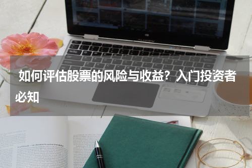  如何评估股票的风险与收益？入门投资者必知