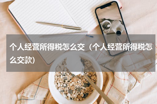 个人经营所得税怎么交（个人经营所得税怎么交款）