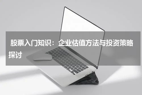  股票入门知识：企业估值方法与投资策略探讨