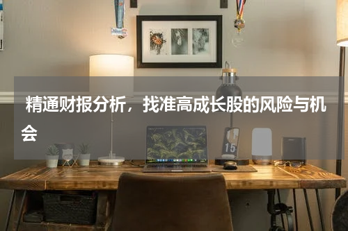  精通财报分析，找准高成长股的风险与机会