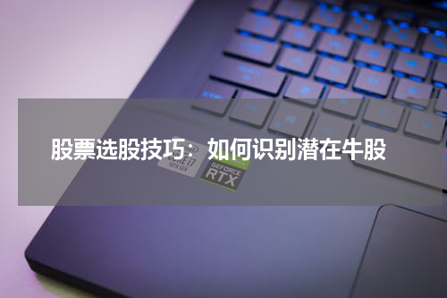  股票选股技巧：如何识别潜在牛股