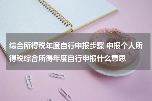 综合所得税年度自行申报步骤 申报个人所得税综合所得年度自行申报什么意思