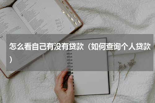 怎么看自己有没有贷款（如何查询个人贷款）