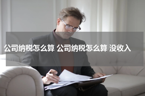公司纳税怎么算 公司纳税怎么算 没收入