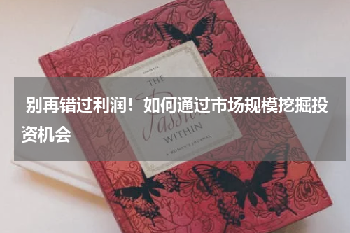  别再错过利润！如何通过市场规模挖掘投资机会