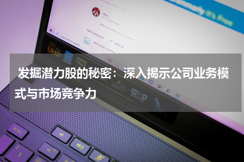  发掘潜力股的秘密：深入揭示公司业务模式与市场竞争力