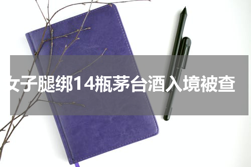 女子腿绑14瓶茅台酒入境被查