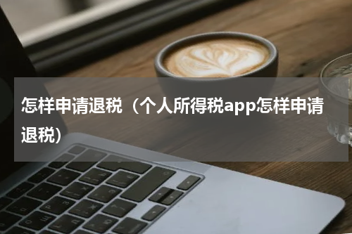 怎样申请退税（个人所得税app怎样申请退税）