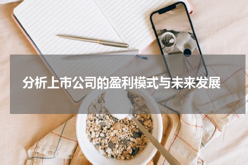  分析上市公司的盈利模式与未来发展