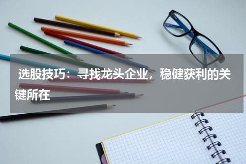  选股技巧：寻找龙头企业，稳健获利的关键所在