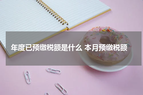 年度已预缴税额是什么 本月预缴税额