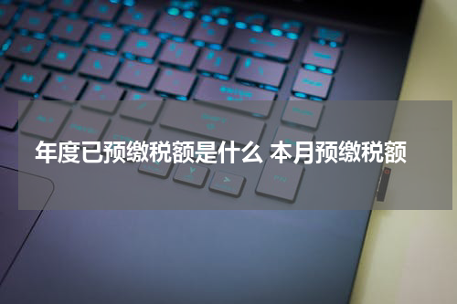 年度已预缴税额是什么 本月预缴税额