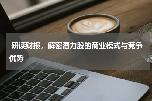  研读财报，解密潜力股的商业模式与竞争优势