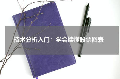  技术分析入门：学会读懂股票图表