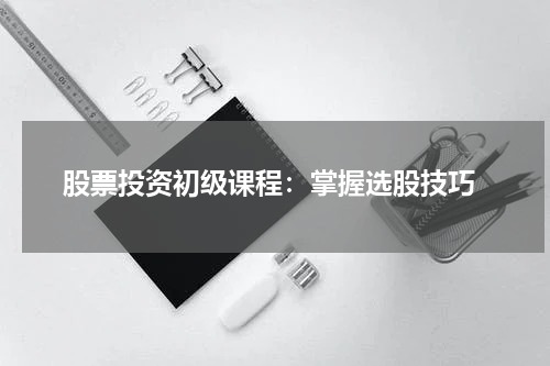  股票投资初级课程：掌握选股技巧